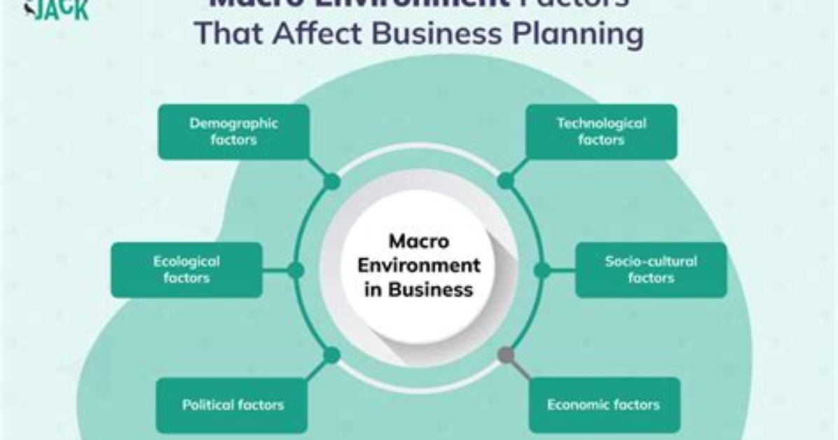 How Does Macro Environment Affect Microenvironment?