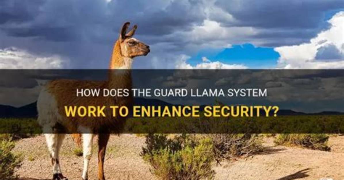 How Does Mail Guard Work?