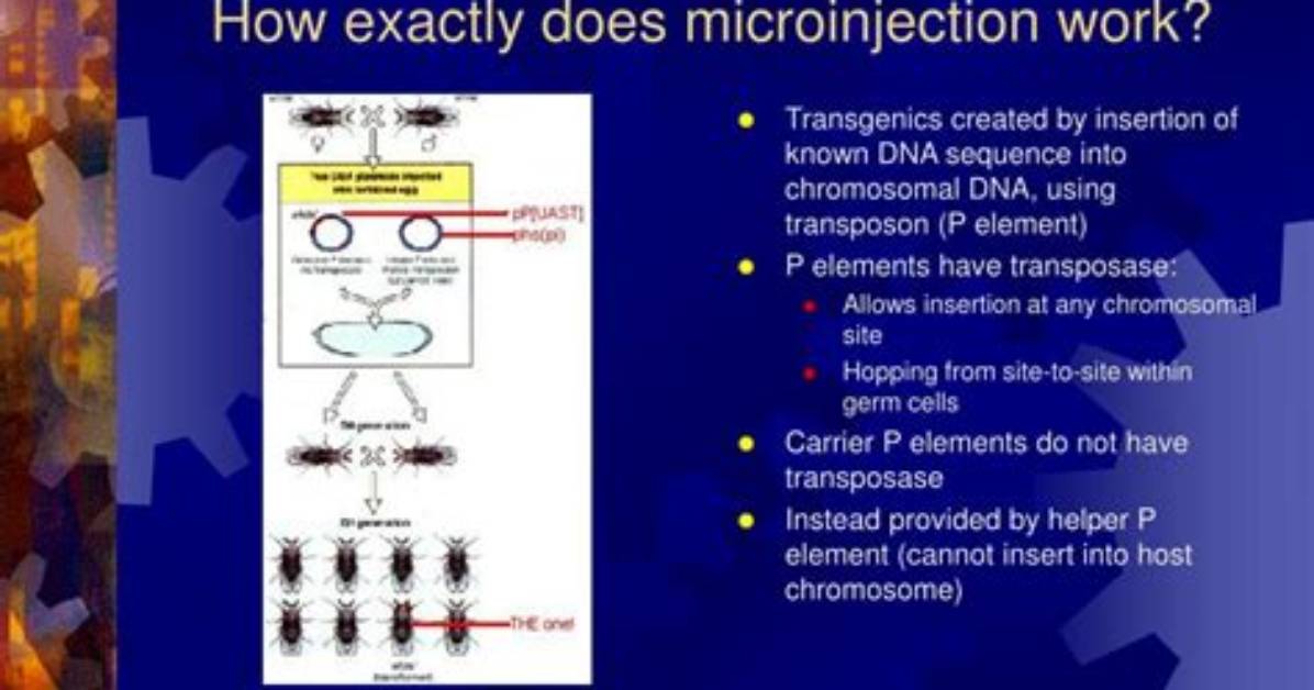 How Does Microinjection Work?
