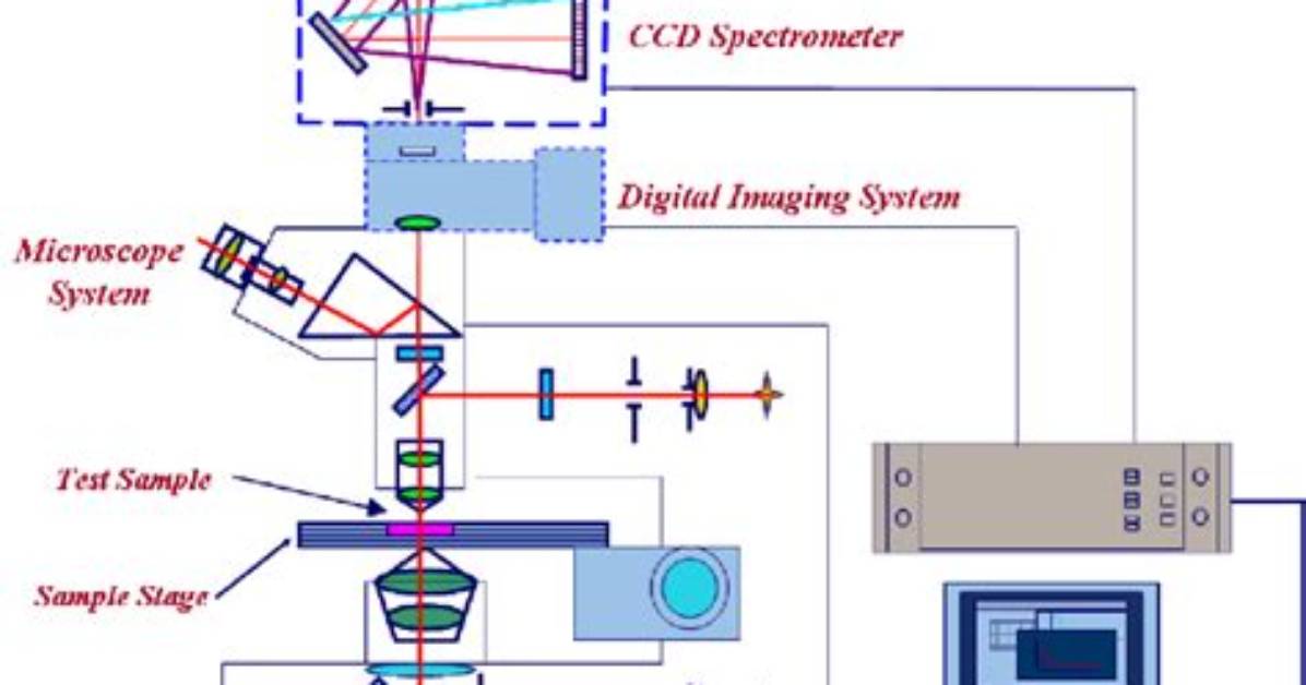 How Does Microspectrophotometry Work?