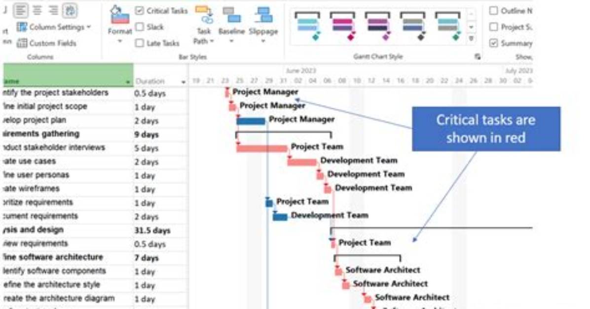 How Does Ms Project Show Risk