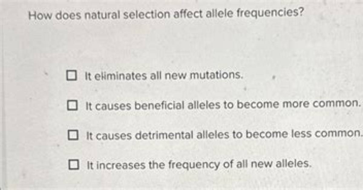 How Does Natural Selection Affect the Frequency of Mutations?