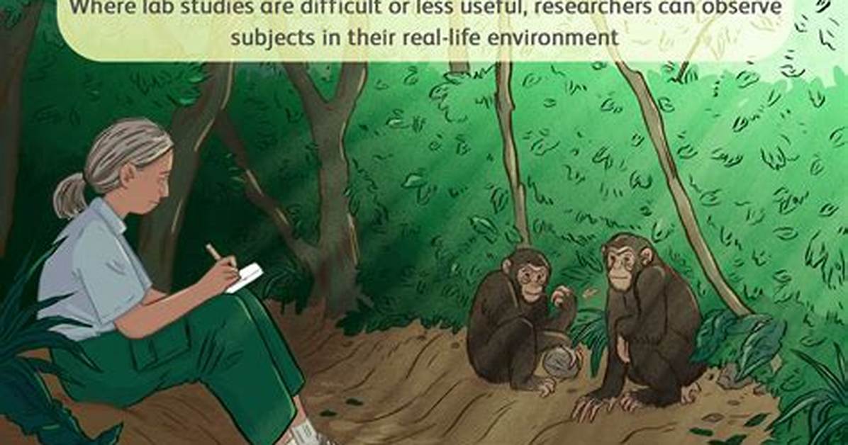 How Does Naturalistic Observation Work?