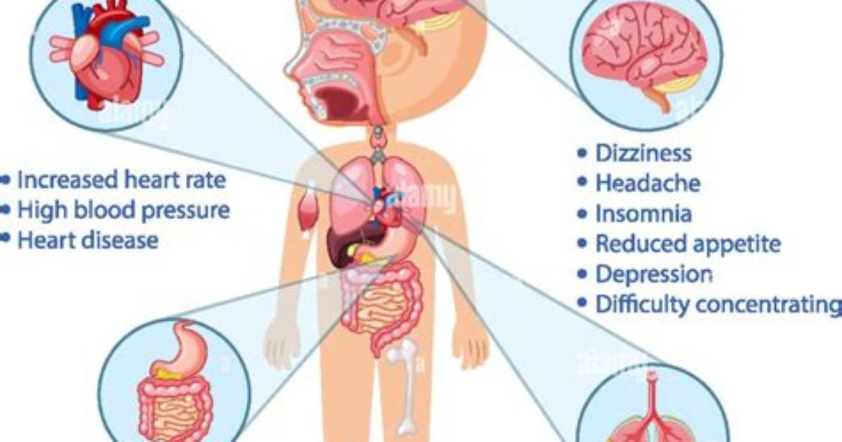 How Does Nicotine Affect the Sympathetic Nervous System?