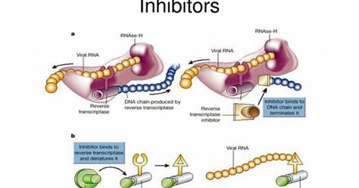 How Does Non Nucleoside Reverse Transcriptase Inhibitors Work