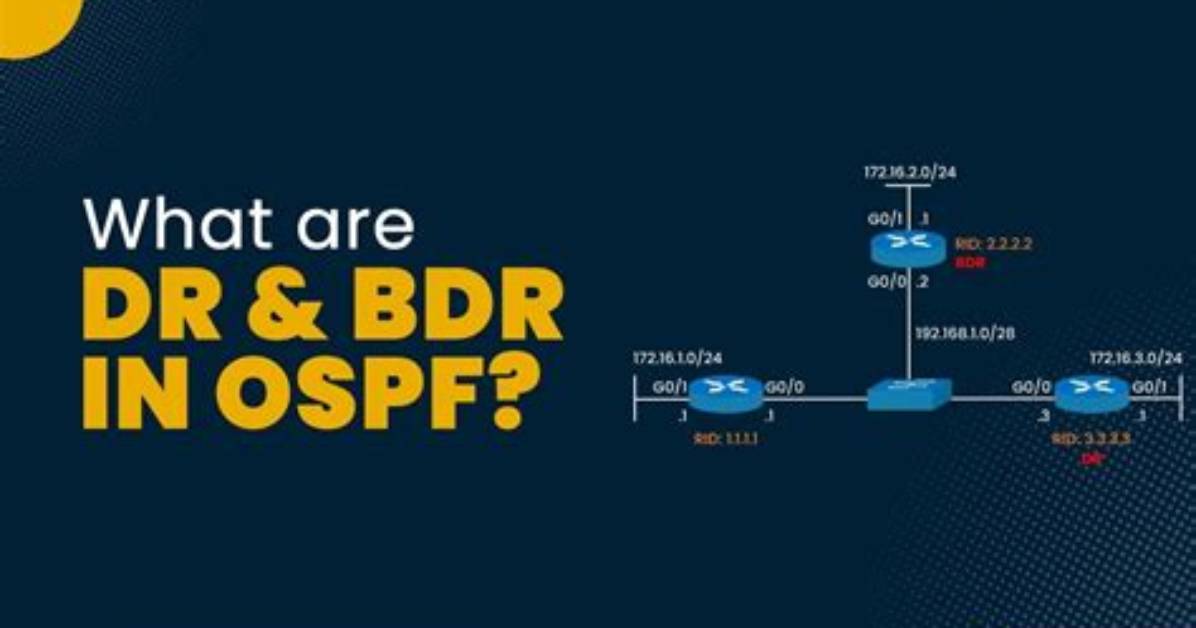 How Does Ospf Determine Dr and Bdr