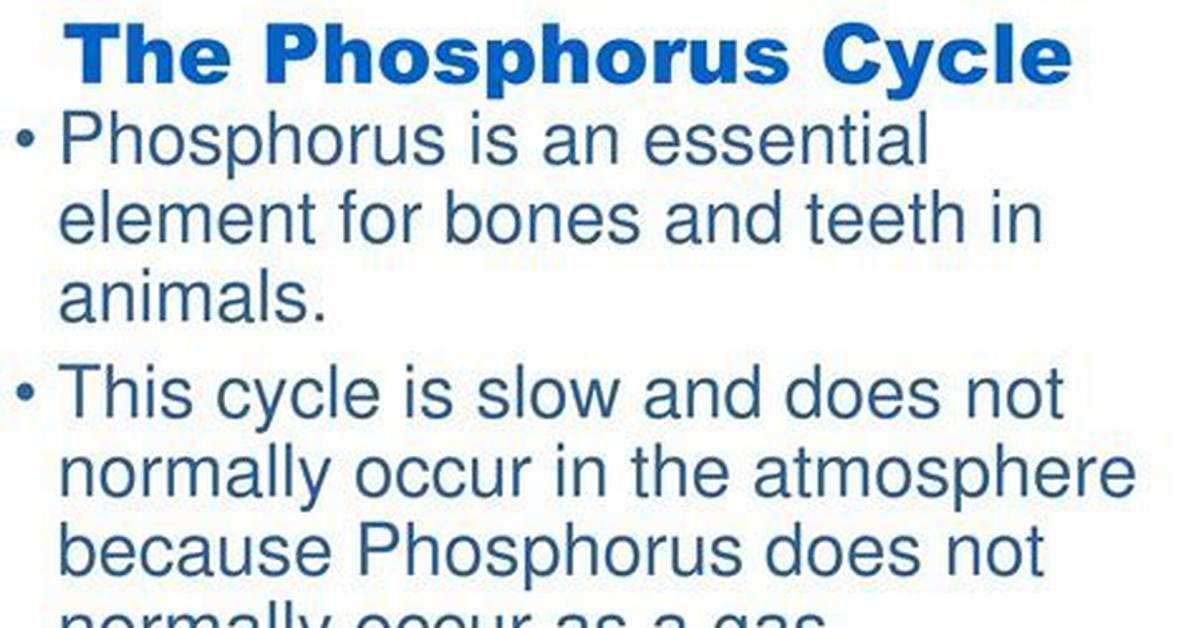 How Does Phosphorus Normally Enter Ecosystems