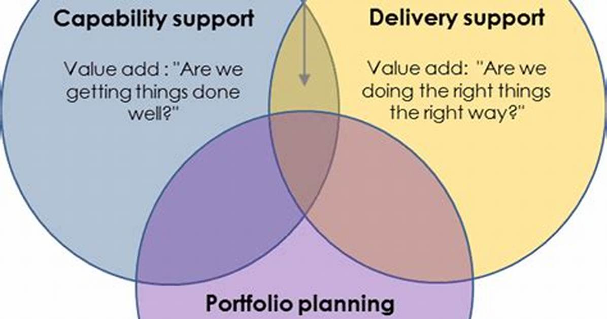 How Does Pmo Add Value