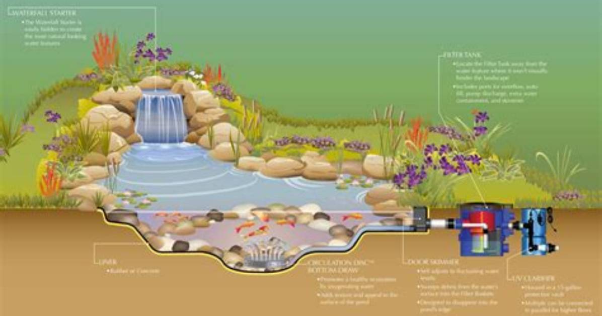 How Does Pond Filter Work