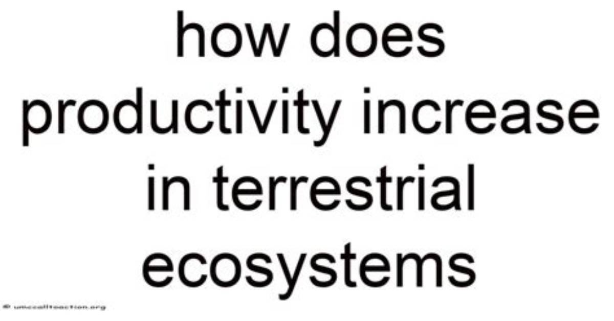 How Does Productivity Increase in Terrestrial Ecosystems