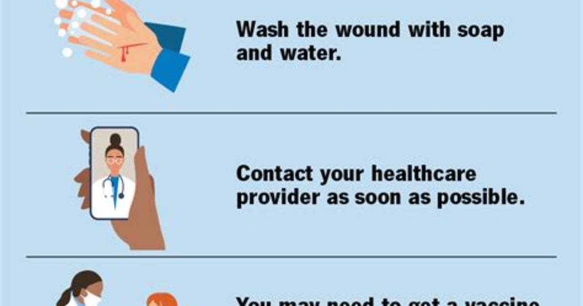 How Does Rabies Kill You?