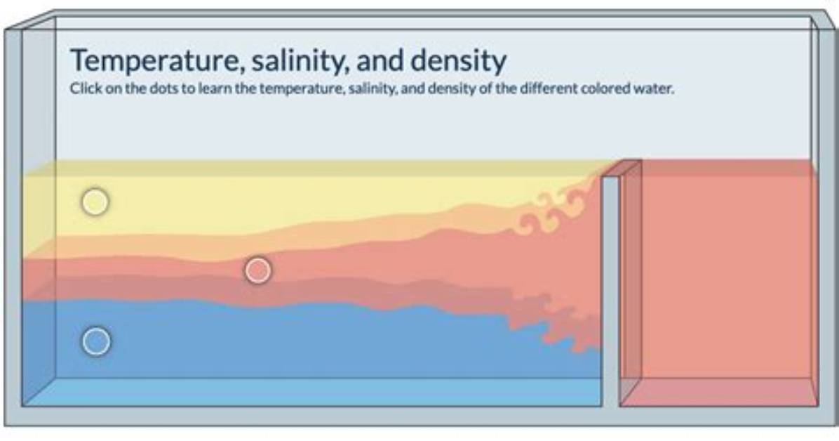 How Does Salinity Affect the Density of Water Experiment