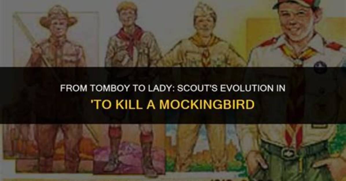 How Does Scout Change in to Kill a Mockingbird