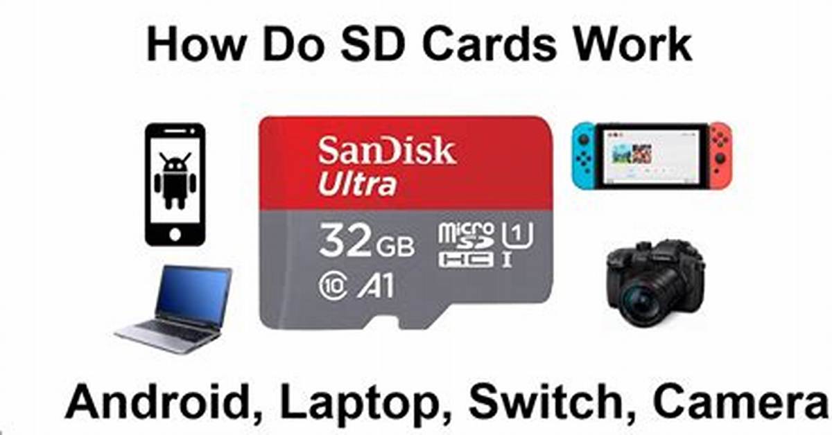 How Does Sd Card Work in Android Phone?