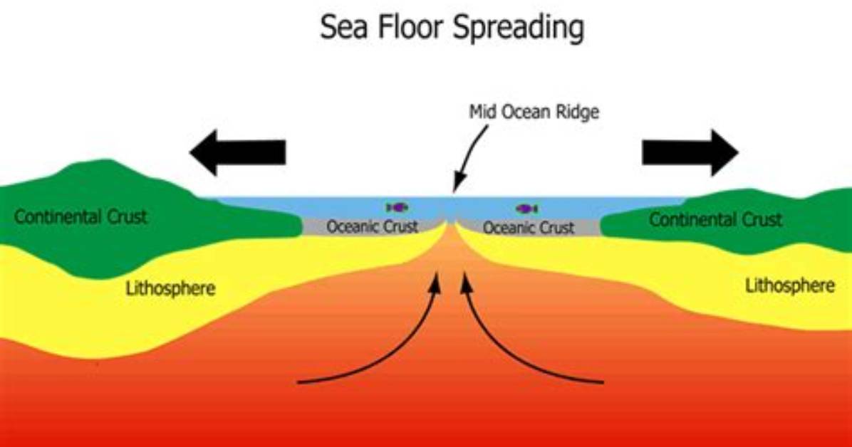 How Does Seafloor Spreading Support Continental Drift?