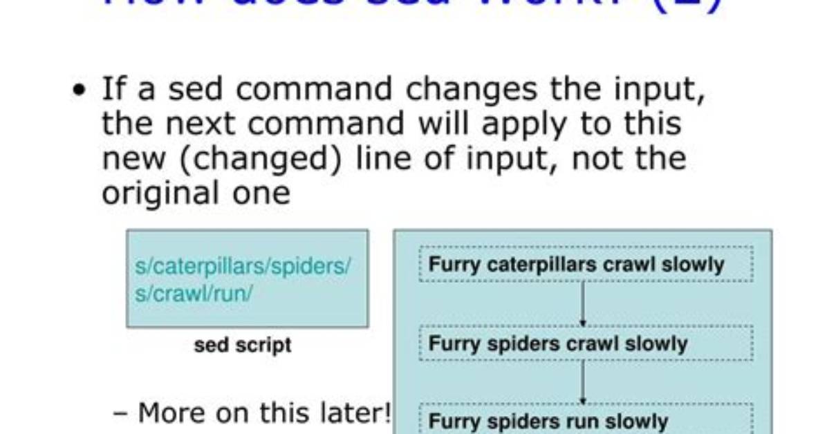 How Does Sed Work in Unix?
