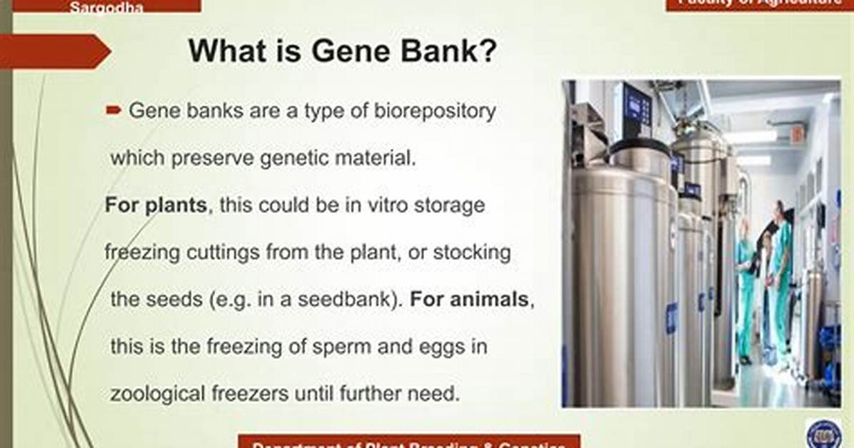 How Does Seed Bank Work