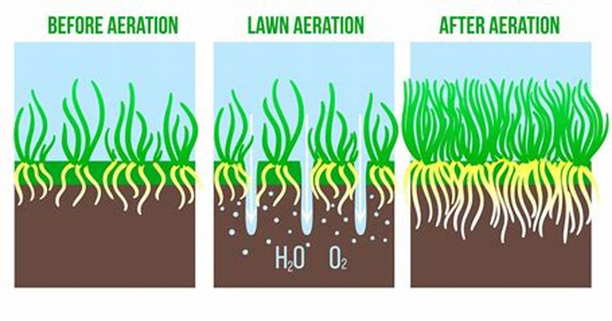 How Does Sifting Achieve Aeration?