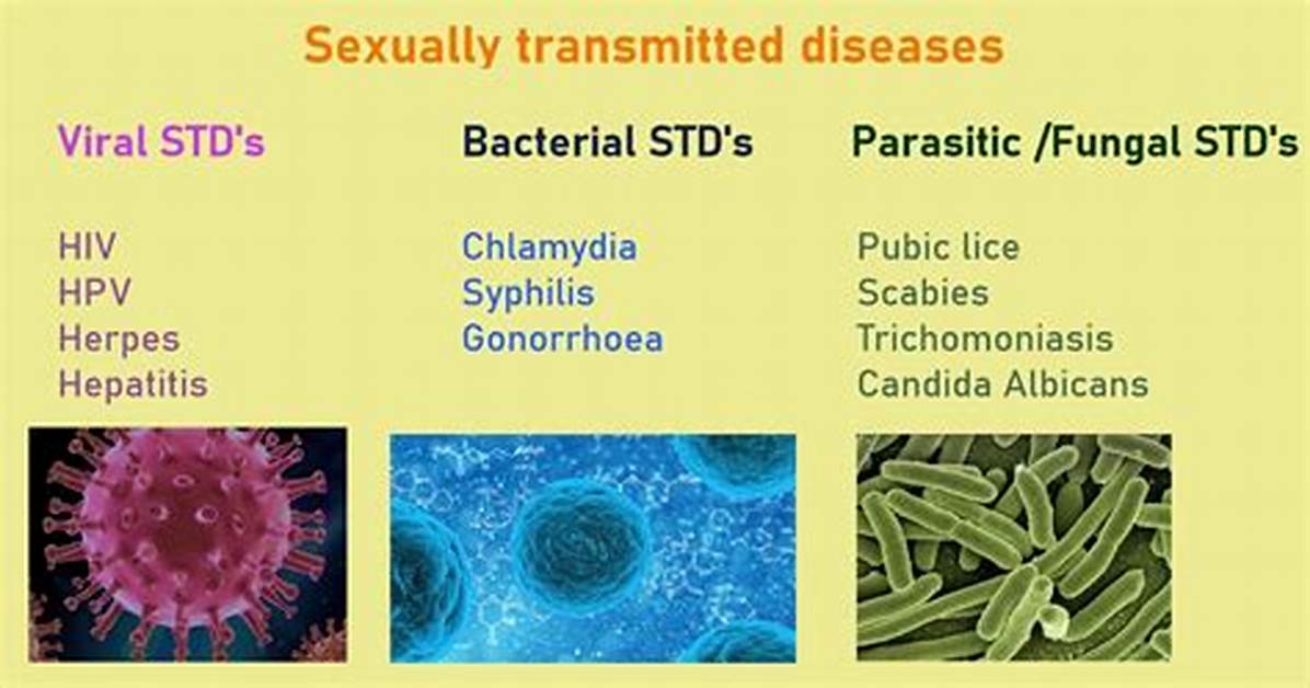 How Does Std: :Find Works with Std: :Set