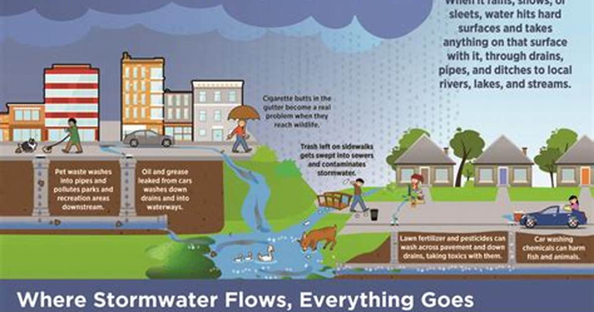 How Does Stormwater Runoff Affect the Environment
