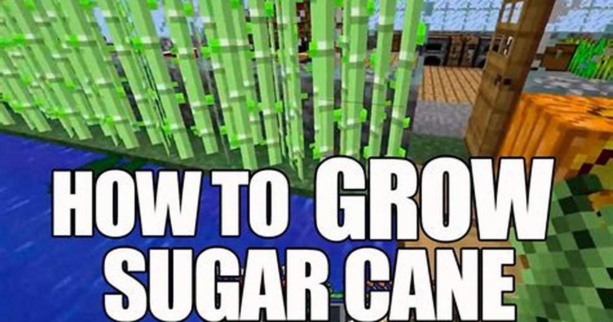 How Does Sugar Cane Grow Minecraft