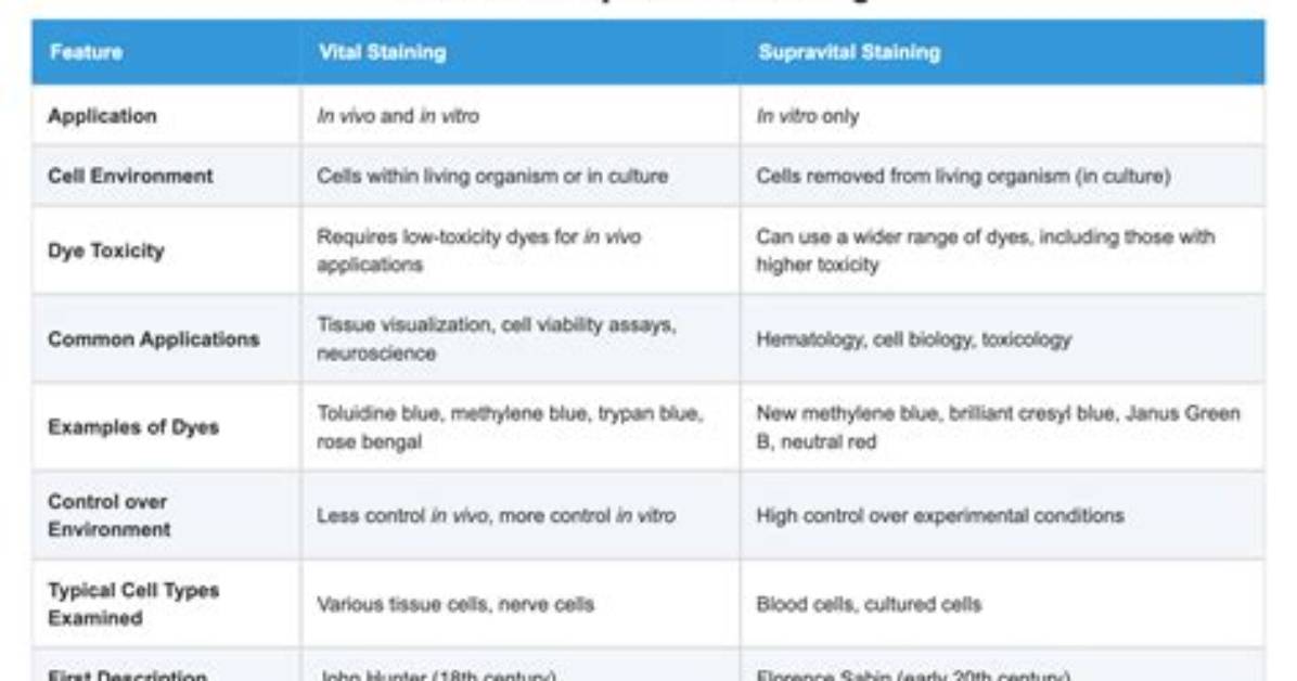 How Does Supravital Stain Work?