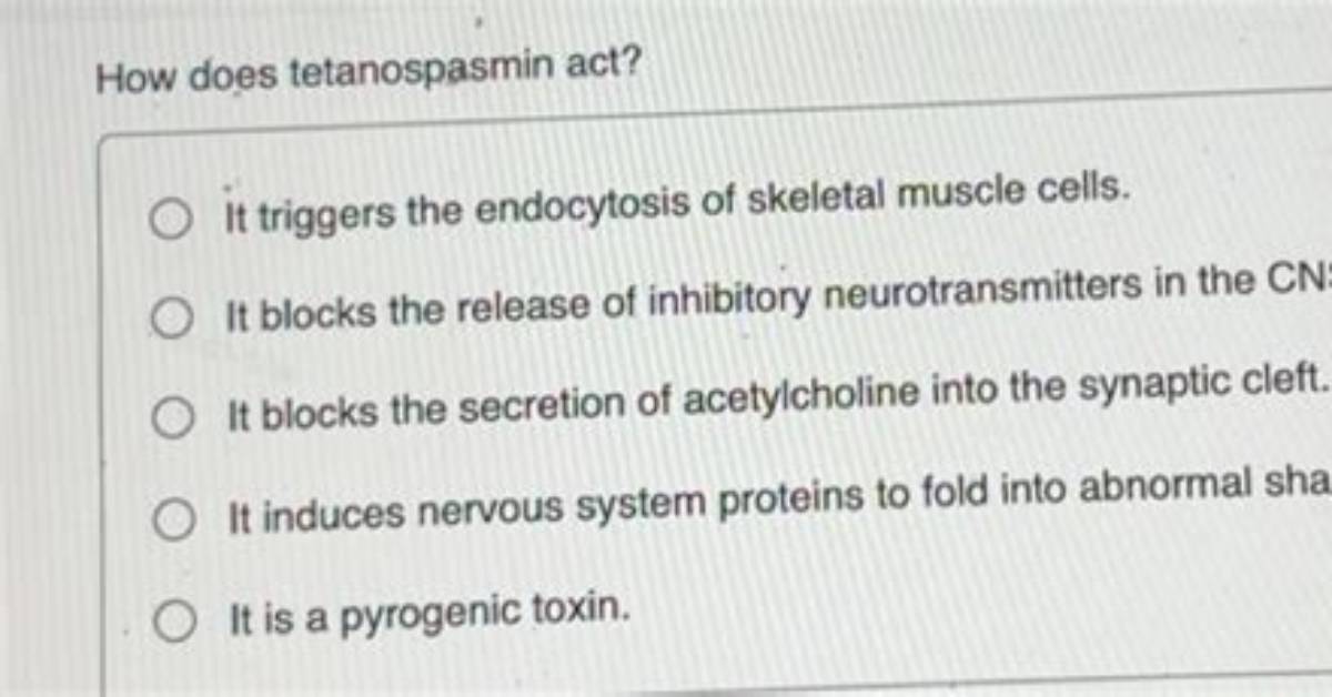 How Does Tetanospasmin Act?