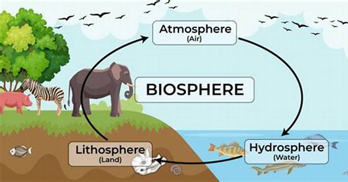 How Does the Biosphere Affect the Geosphere