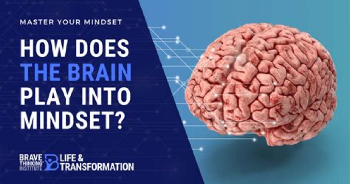 How Does the Brain Play into Mindset