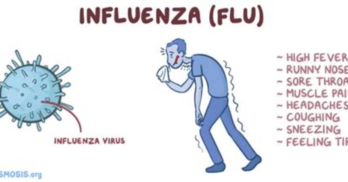 How Does the Flu Cause Death?