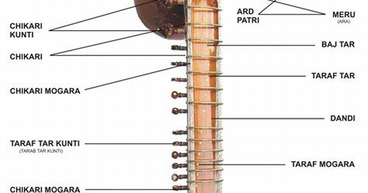How Does the Sitar Work
