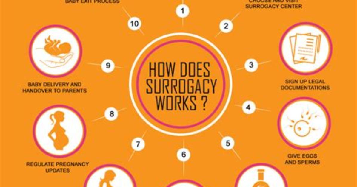How Does the Surrogacy Process Work?