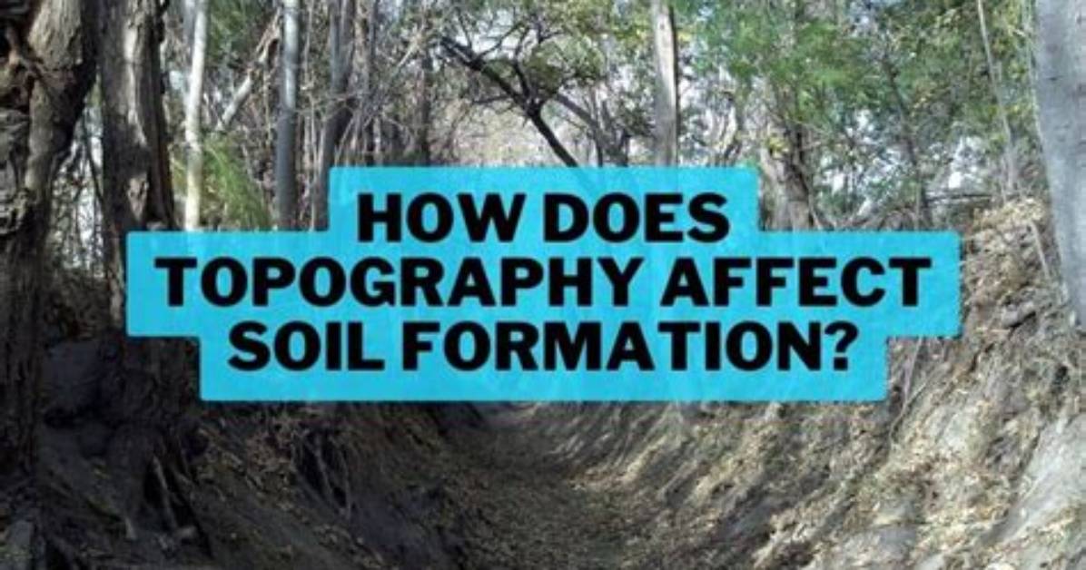 How Does Topography Affect Soil Formation?