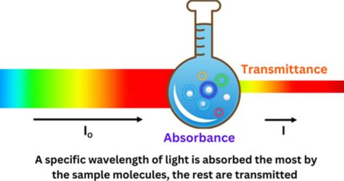 How Does Transmittance Relate to Absorbance?
