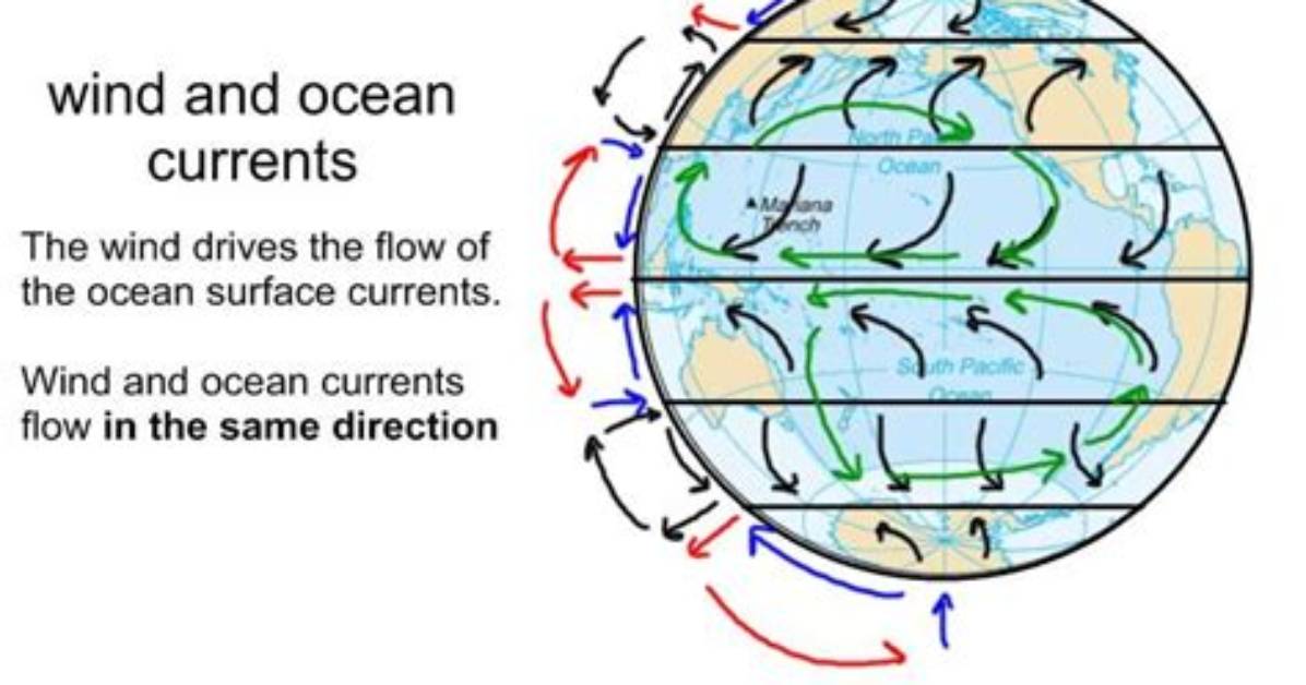 How Does Wind Affect Ocean Currents