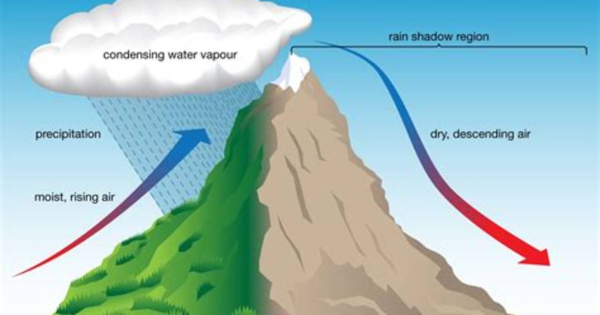 How Does Wind Affect Precipitation