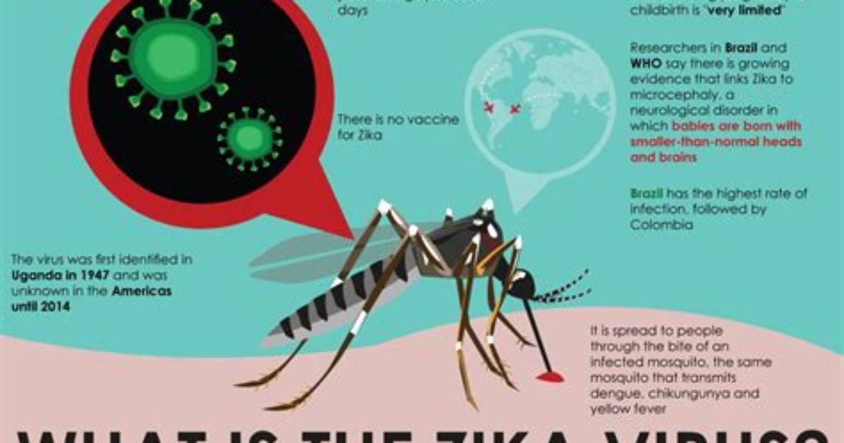 How Does Zika Affect You?
