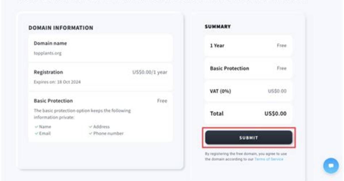 How Domain Is Registered?
