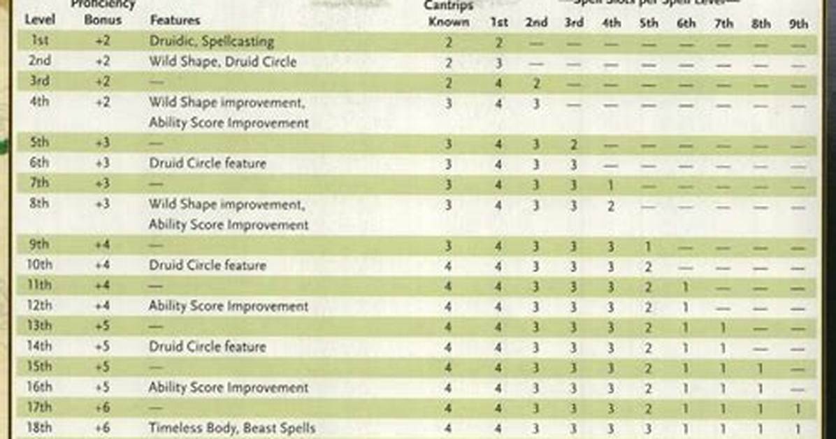 How Druid Spells Work 5E?