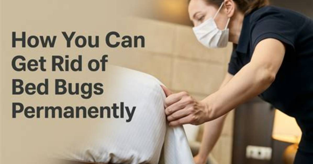 How Easy Is It to Get Bed Bugs?