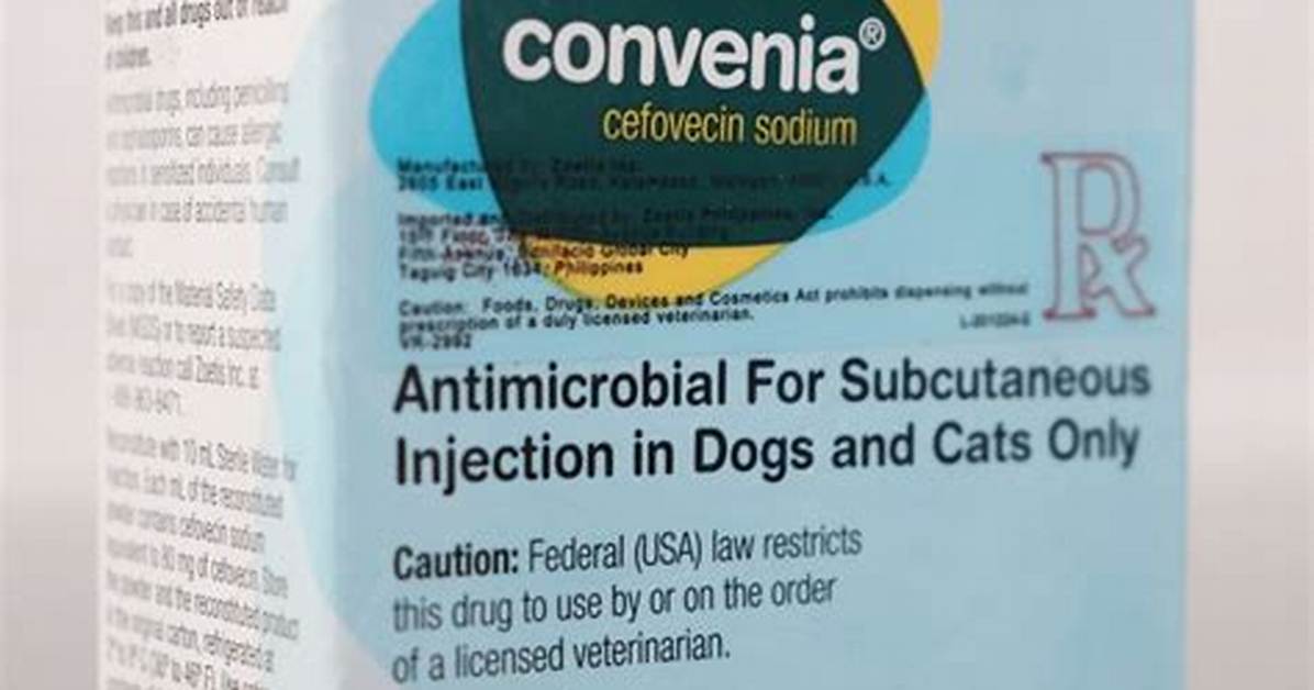 How Effective Is Convenia