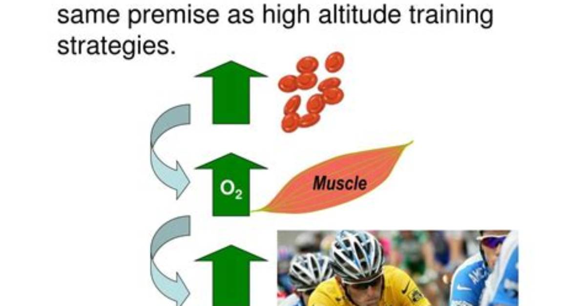 How Epo Enhances Performance
