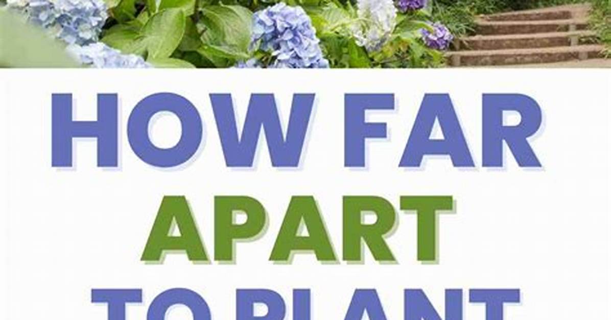 How Far Apart Should Hot and Cold Water Pipes Be?