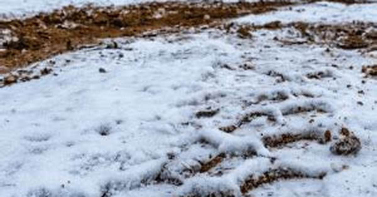 How Far Down Does the Ground Freeze in Winter