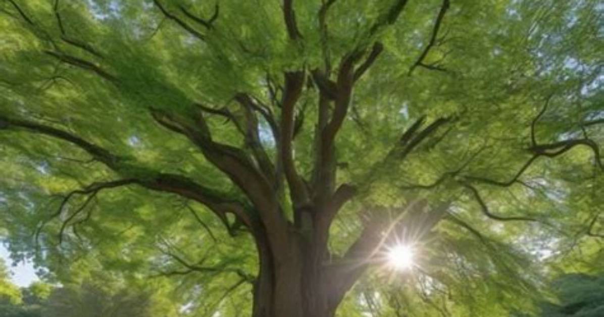 How Fast Do Hackberry Trees Grow?
