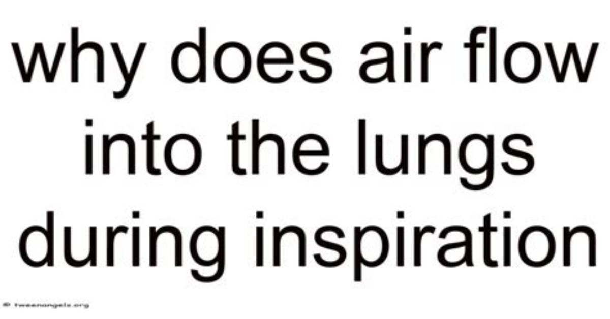 How Fast Does Air Flow in the Duct