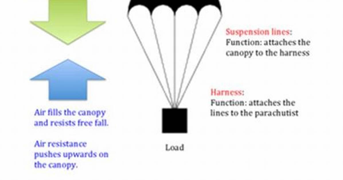 How Forces Act on Parachute?