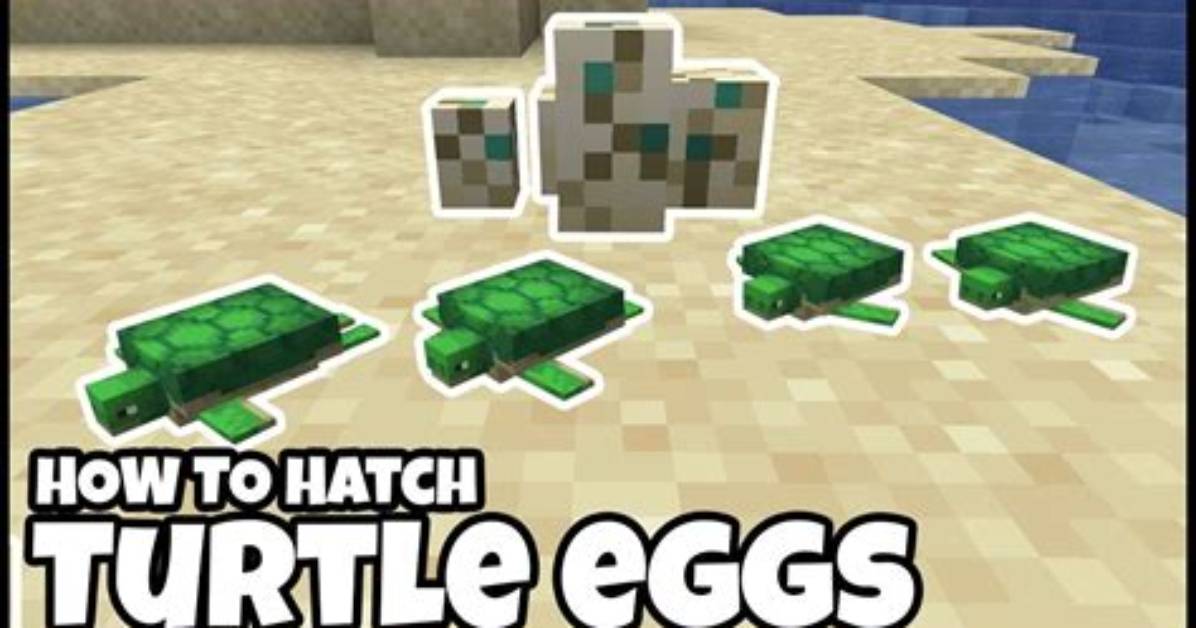 How Hatch Turtle Eggs in Minecraft?