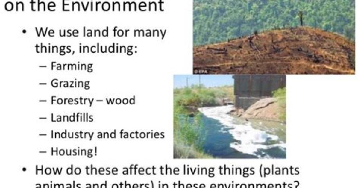 How Have Humans Impacted the Environment in Africa