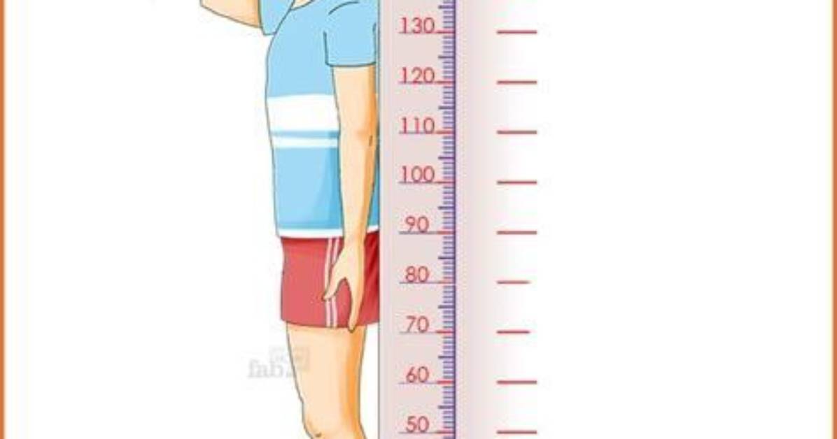 How Height Is Measured?